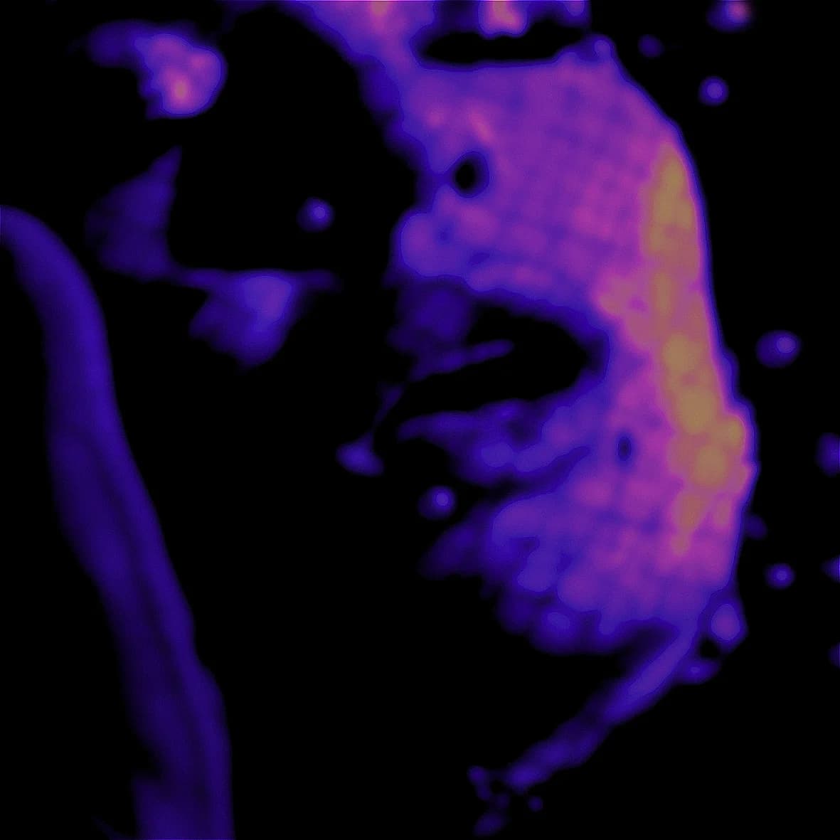 Artist Image